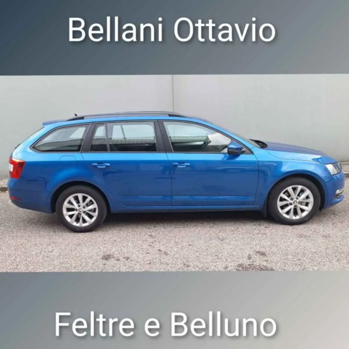 Skoda Octavia Station Wagon usata a Belluno (3)