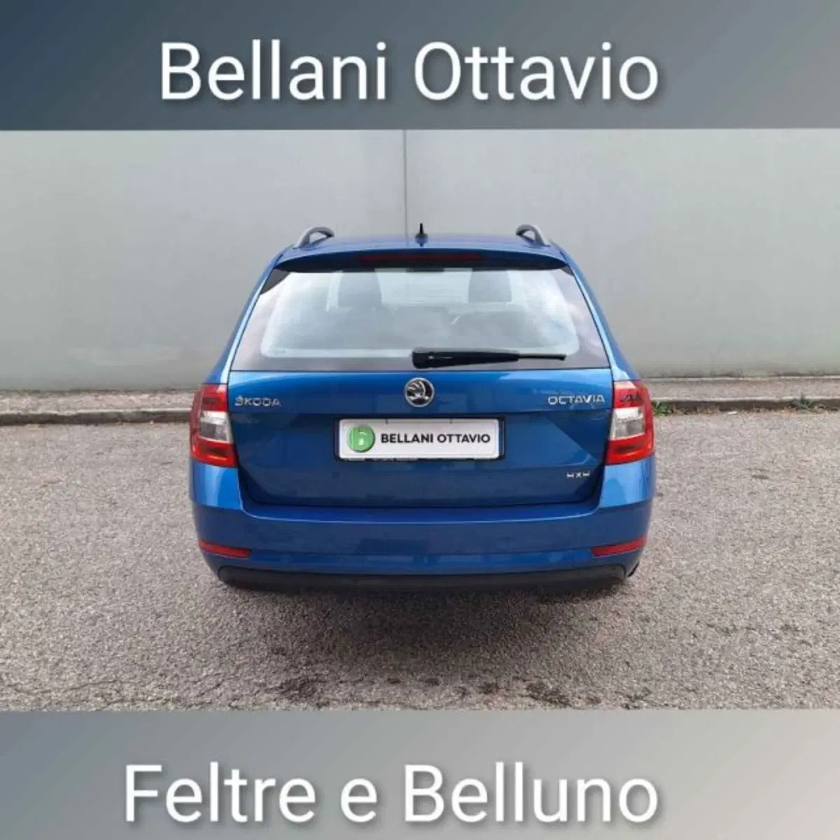 Skoda Octavia Station Wagon usata a Belluno (4)