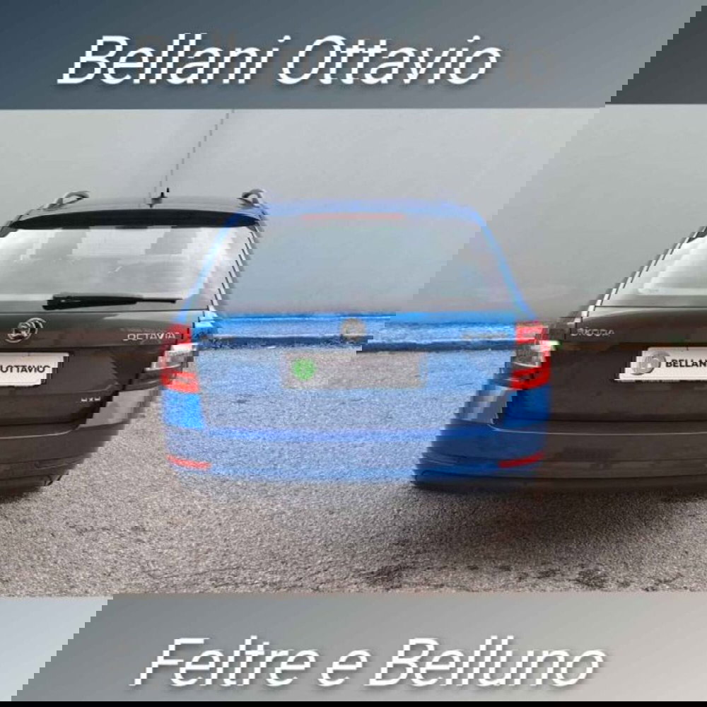 Skoda Octavia Station Wagon usata a Belluno (4)