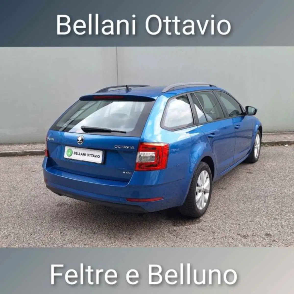 Skoda Octavia Station Wagon usata a Belluno (5)