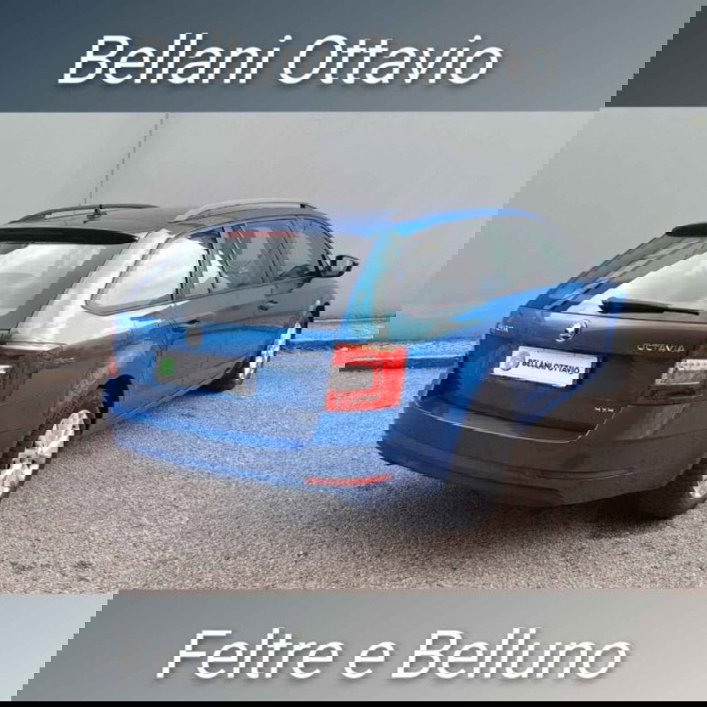 Skoda Octavia Station Wagon usata a Belluno (5)