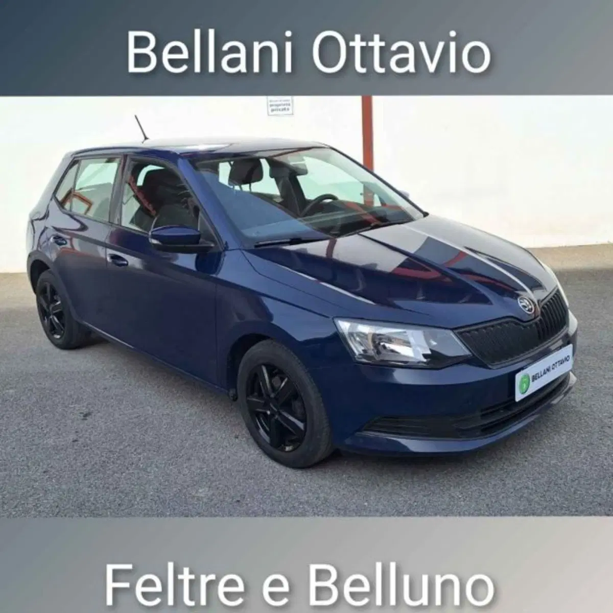 Skoda Fabia usata a Belluno