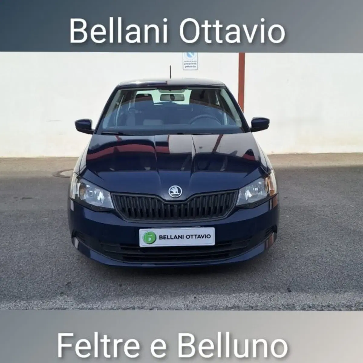 Skoda Fabia usata a Belluno (2)