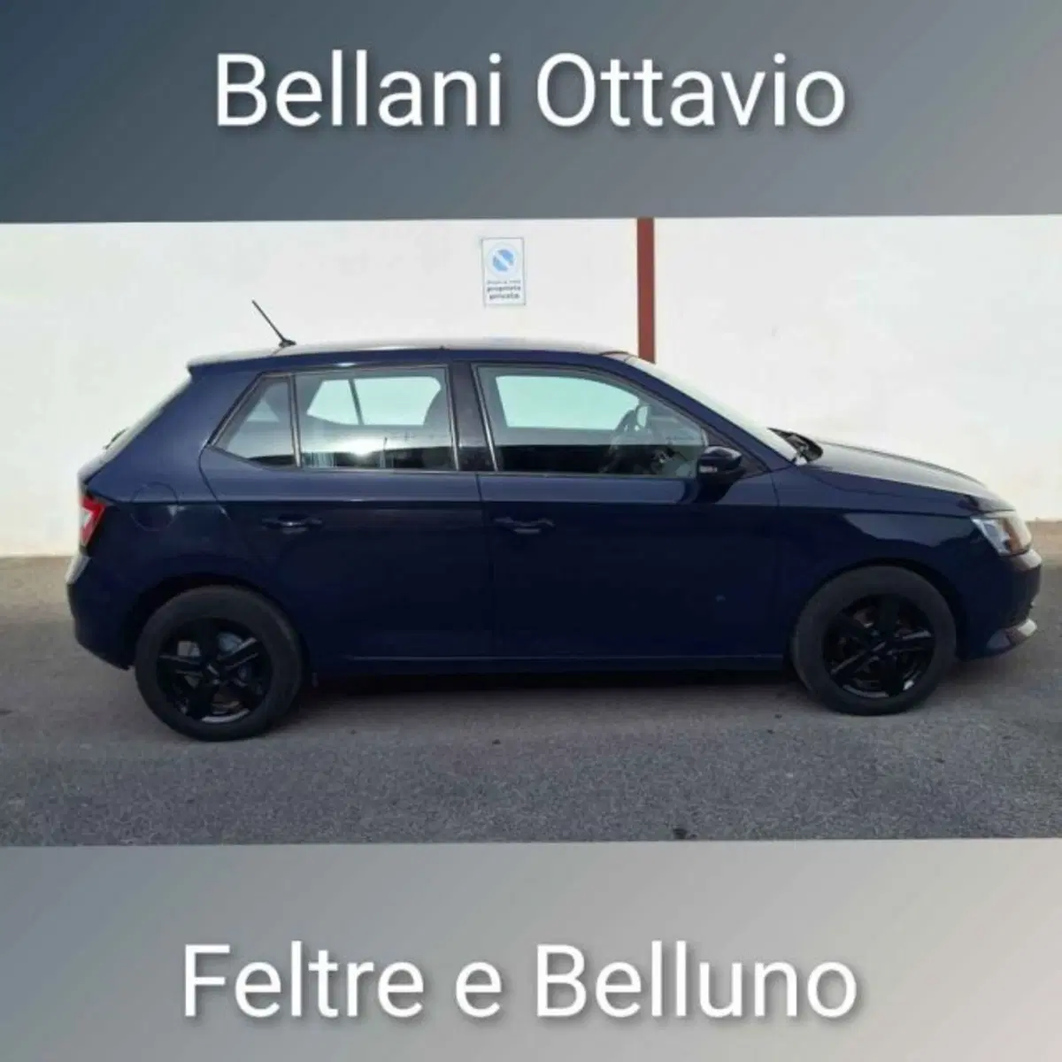 Skoda Fabia usata a Belluno (3)