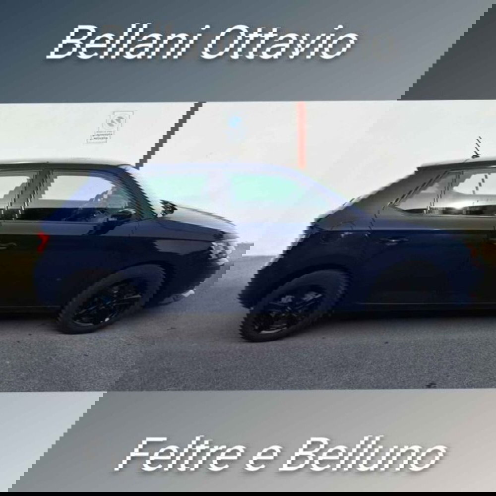 Skoda Fabia usata a Belluno (3)