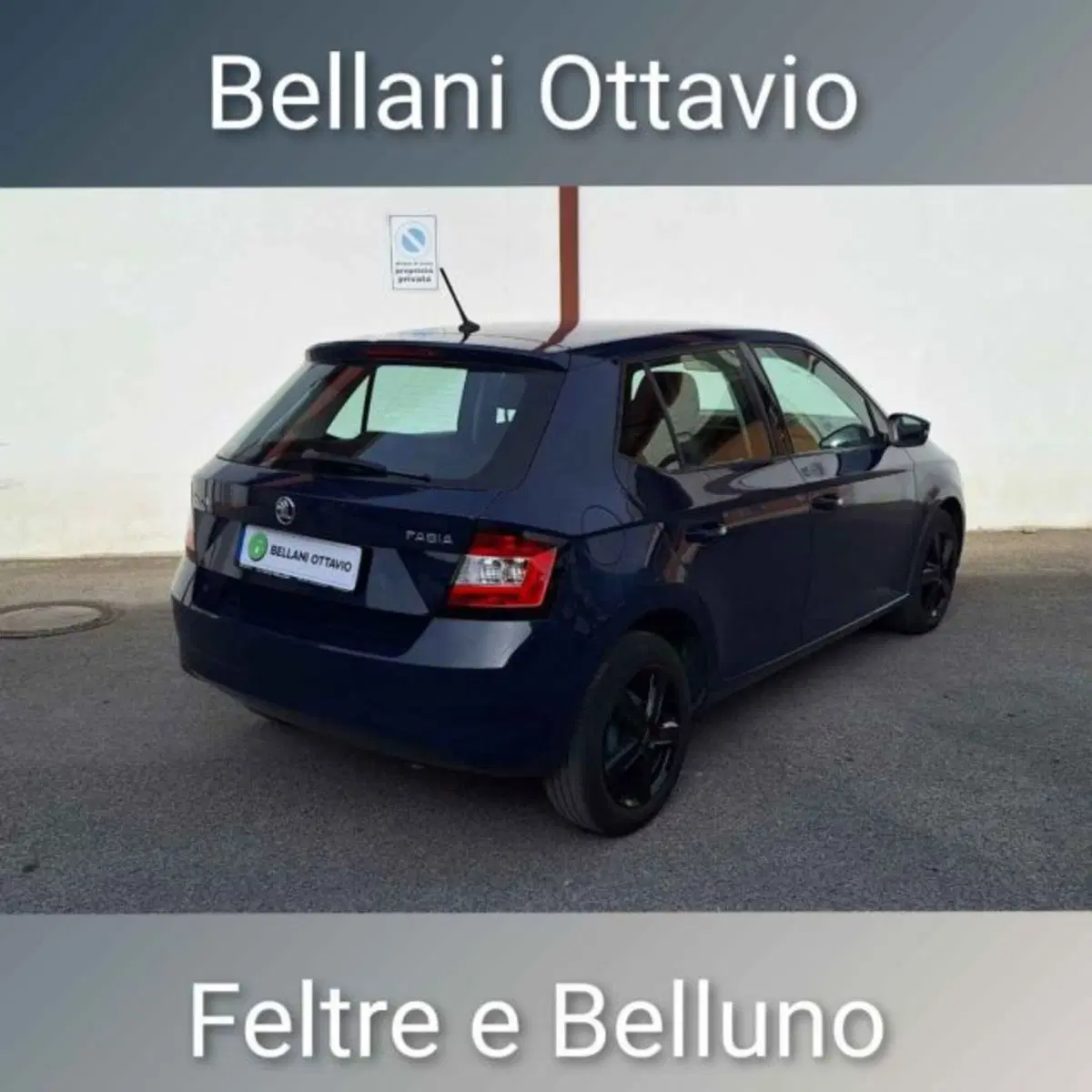 Skoda Fabia usata a Belluno (6)