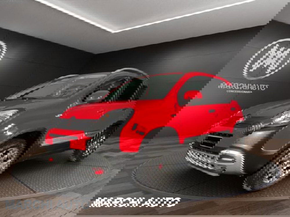 Fiat Panda Cross usata a Perugia