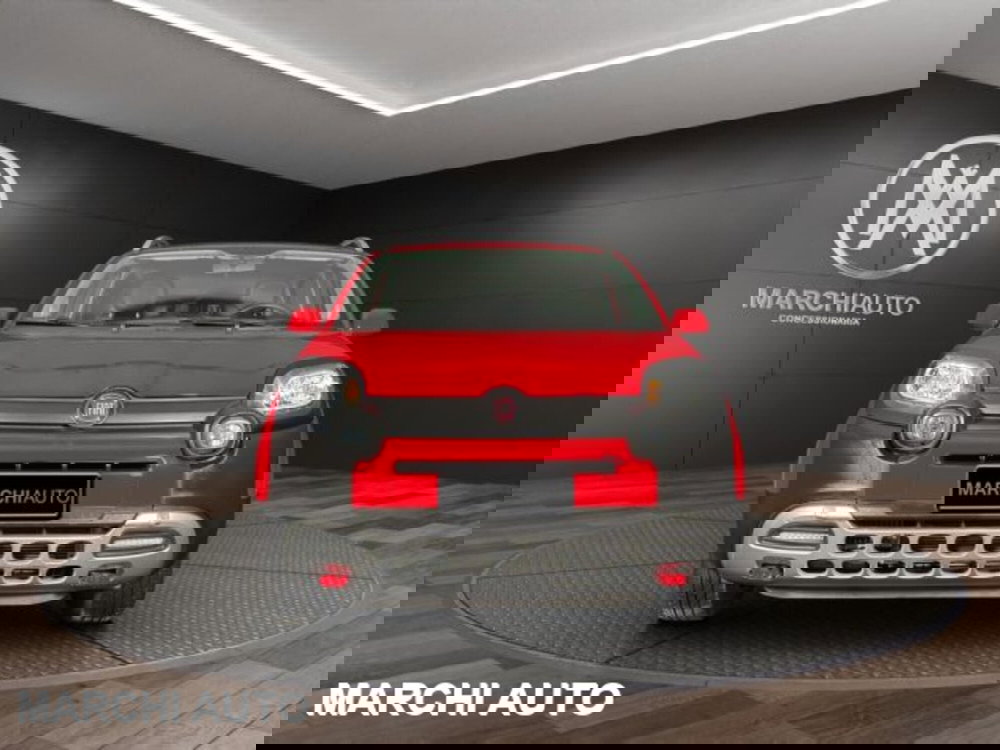 Fiat Panda Cross usata a Perugia (2)