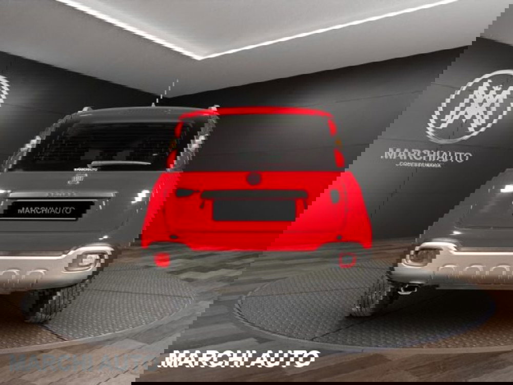 Fiat Panda Cross usata a Perugia (6)