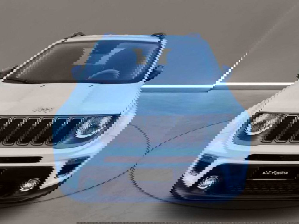 Jeep Renegade usata a Caltanissetta (2)