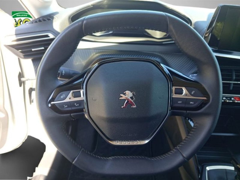 Peugeot 208 usata a Frosinone (18)