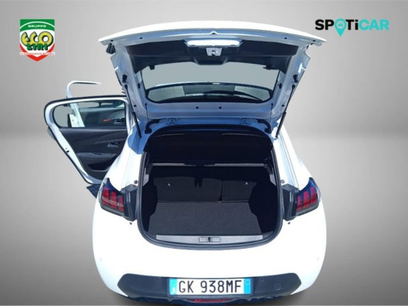 Peugeot 208 usata a Frosinone (9)