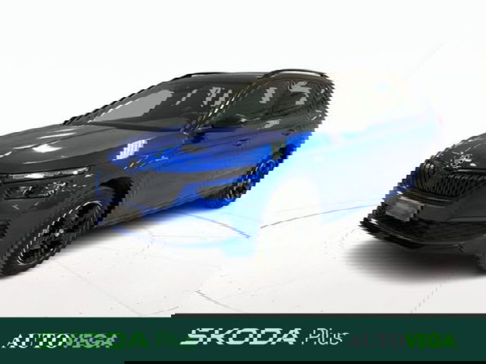 Skoda Kamiq usata a Vicenza