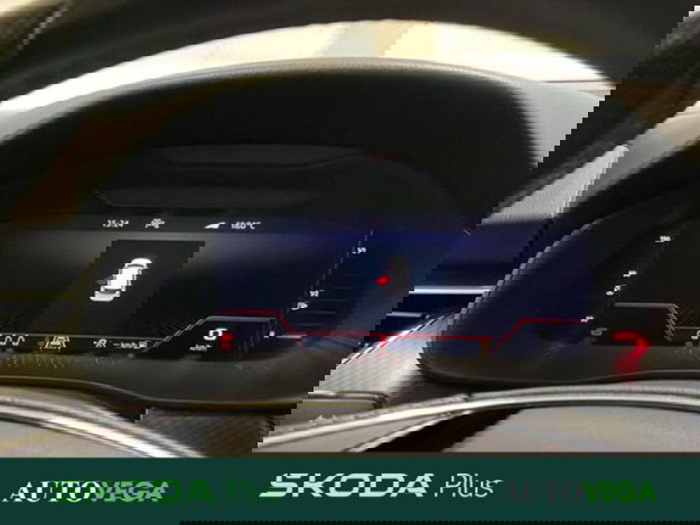 Skoda Kamiq usata a Vicenza (10)