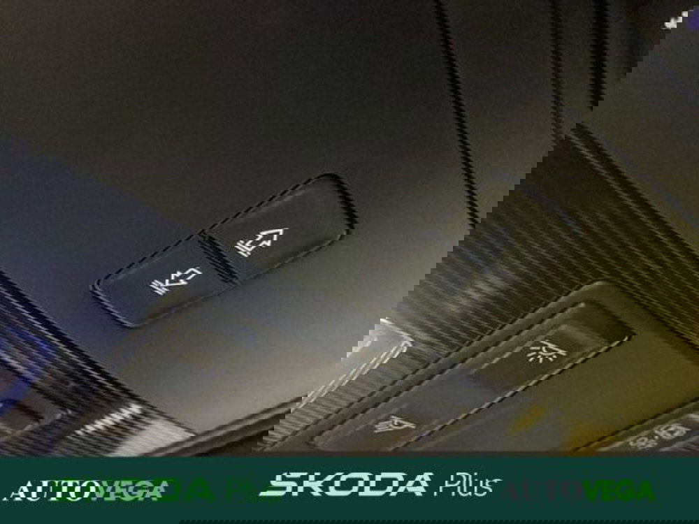 Skoda Kamiq usata a Vicenza (16)