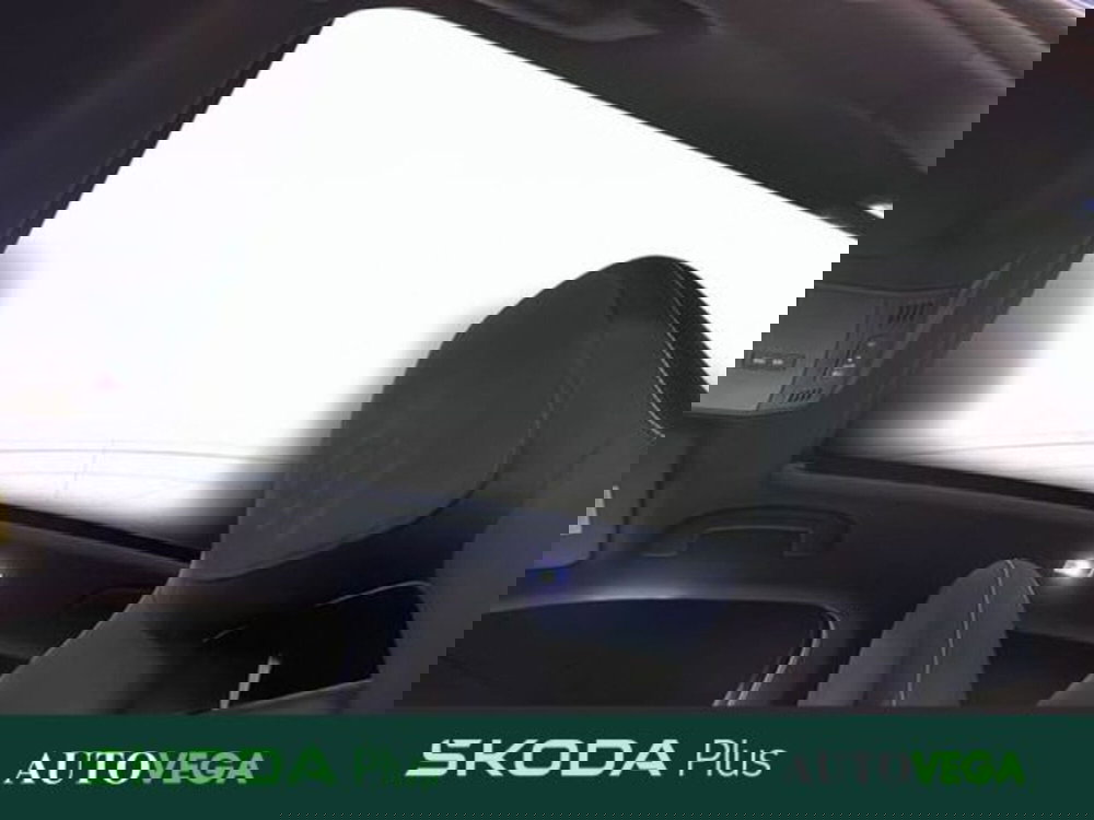 Skoda Kamiq usata a Vicenza (17)