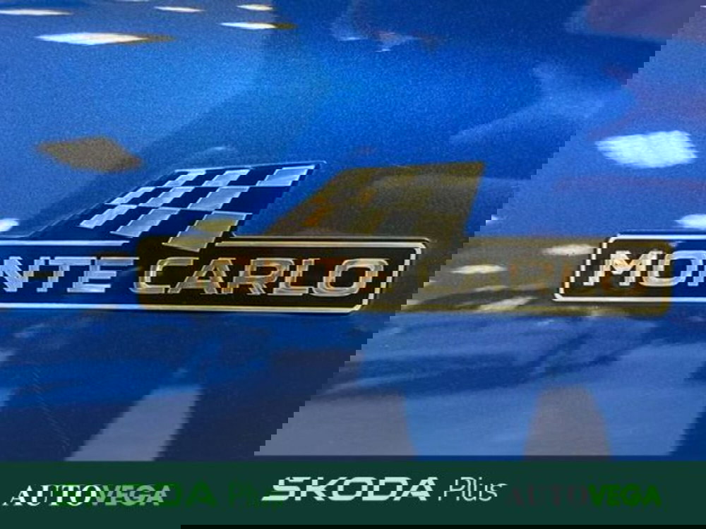 Skoda Kamiq usata a Vicenza (19)