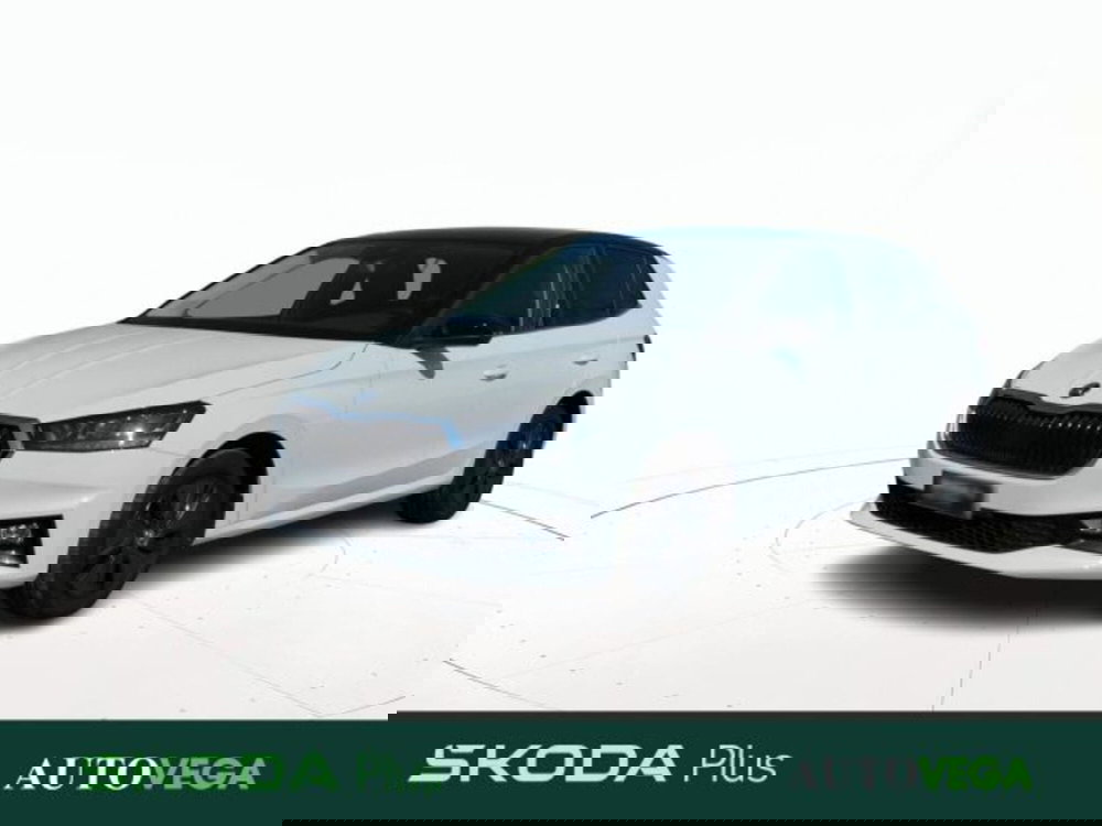 Skoda Fabia usata a Vicenza