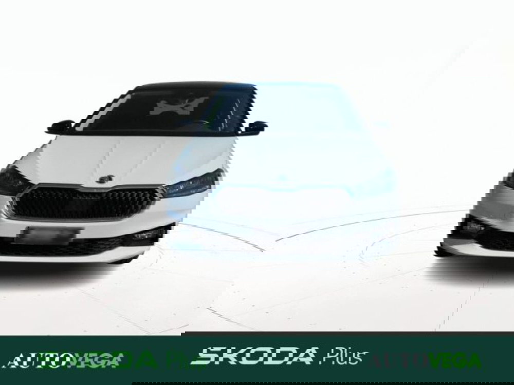 Skoda Fabia usata a Vicenza (2)