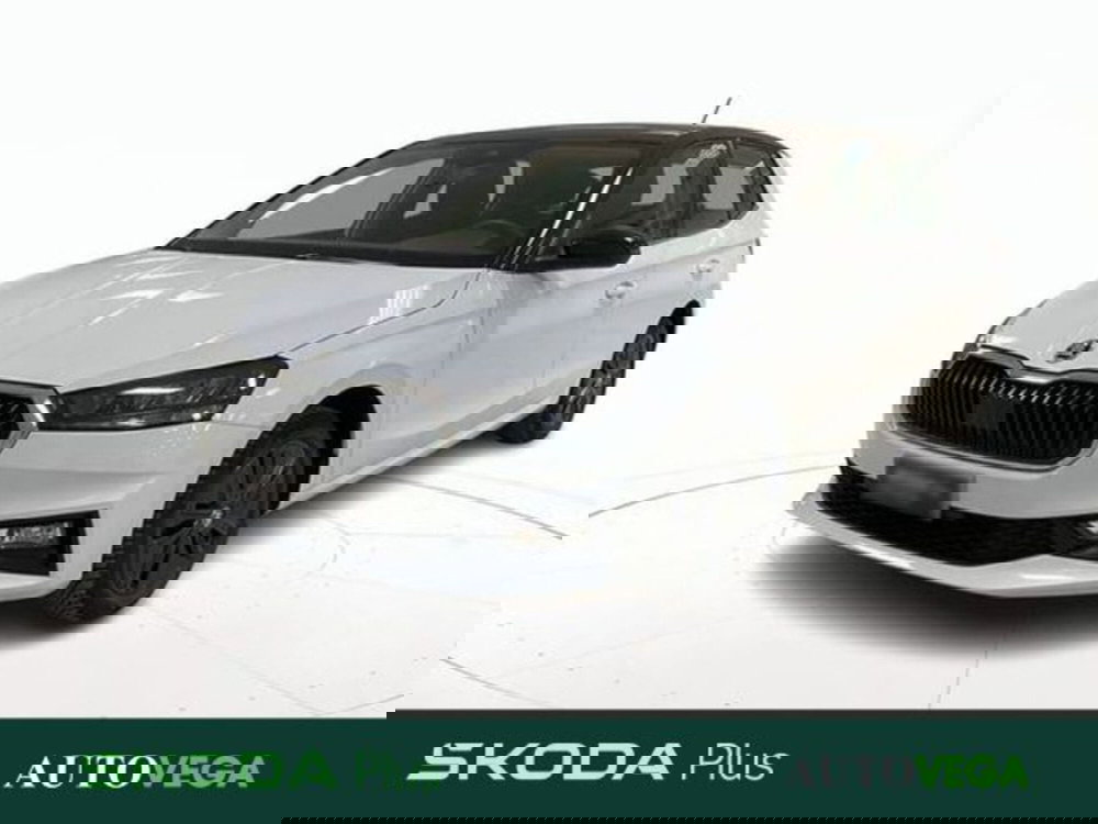 Skoda Fabia usata a Vicenza