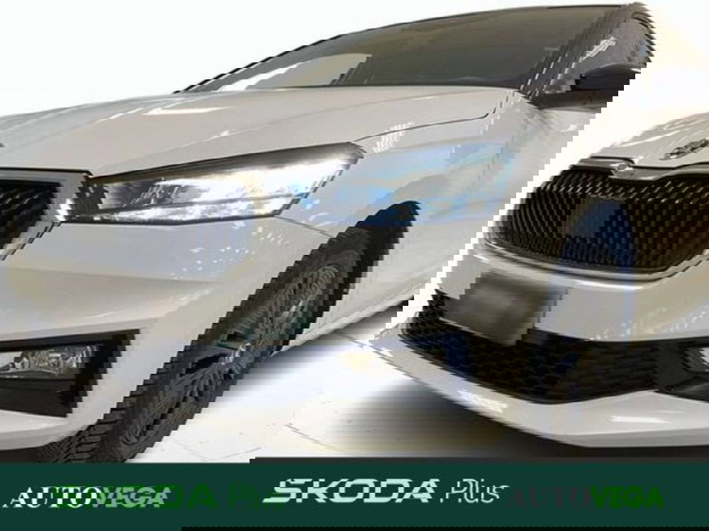 Skoda Fabia usata a Vicenza (18)