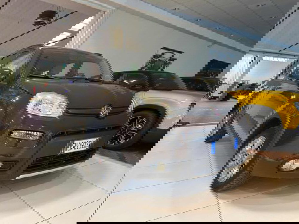 Fiat Panda usata a Vercelli