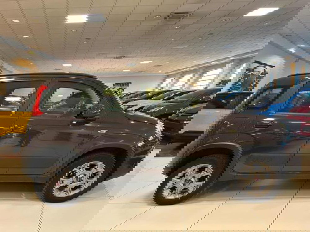 Fiat Panda usata a Vercelli (16)