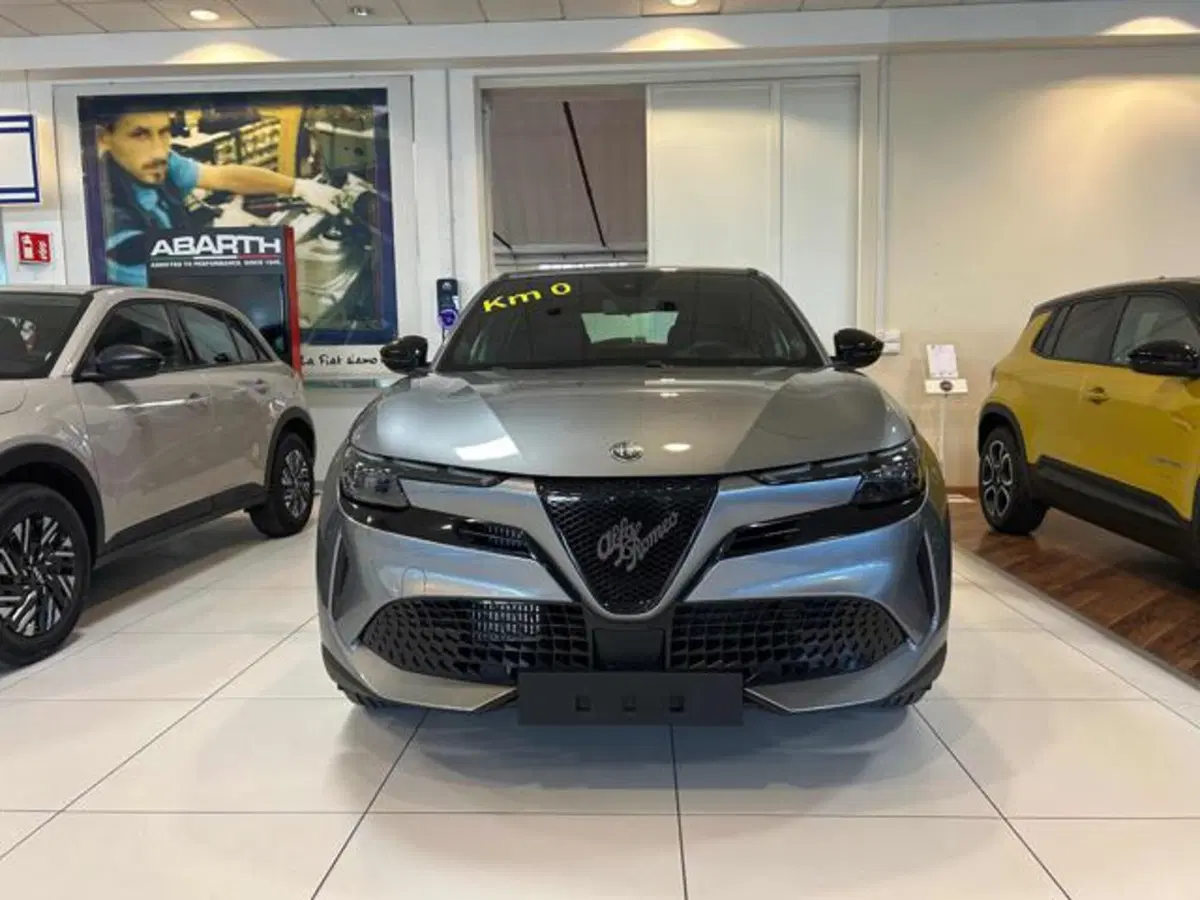 Alfa Romeo Junior nuova a Vercelli (15)