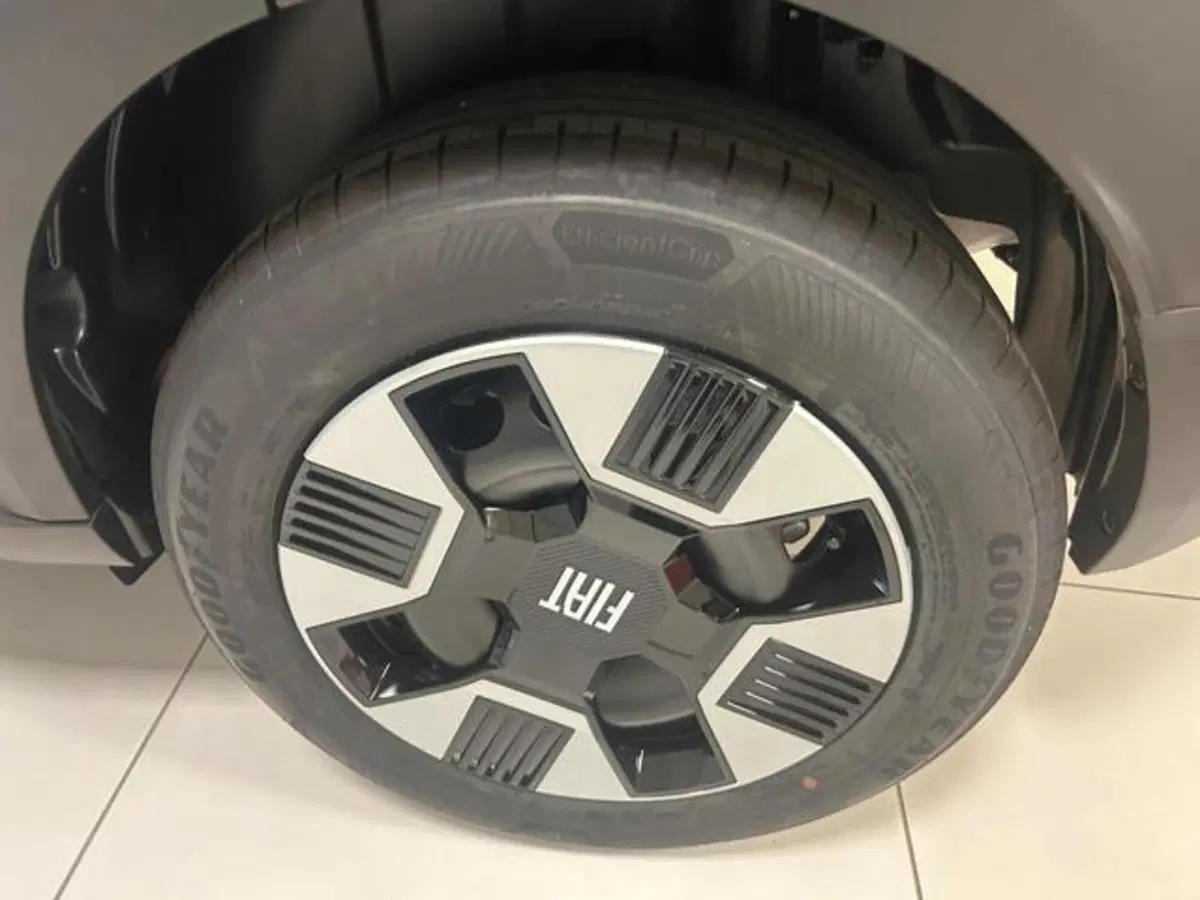 Fiat Grande Panda nuova a Vercelli (11)