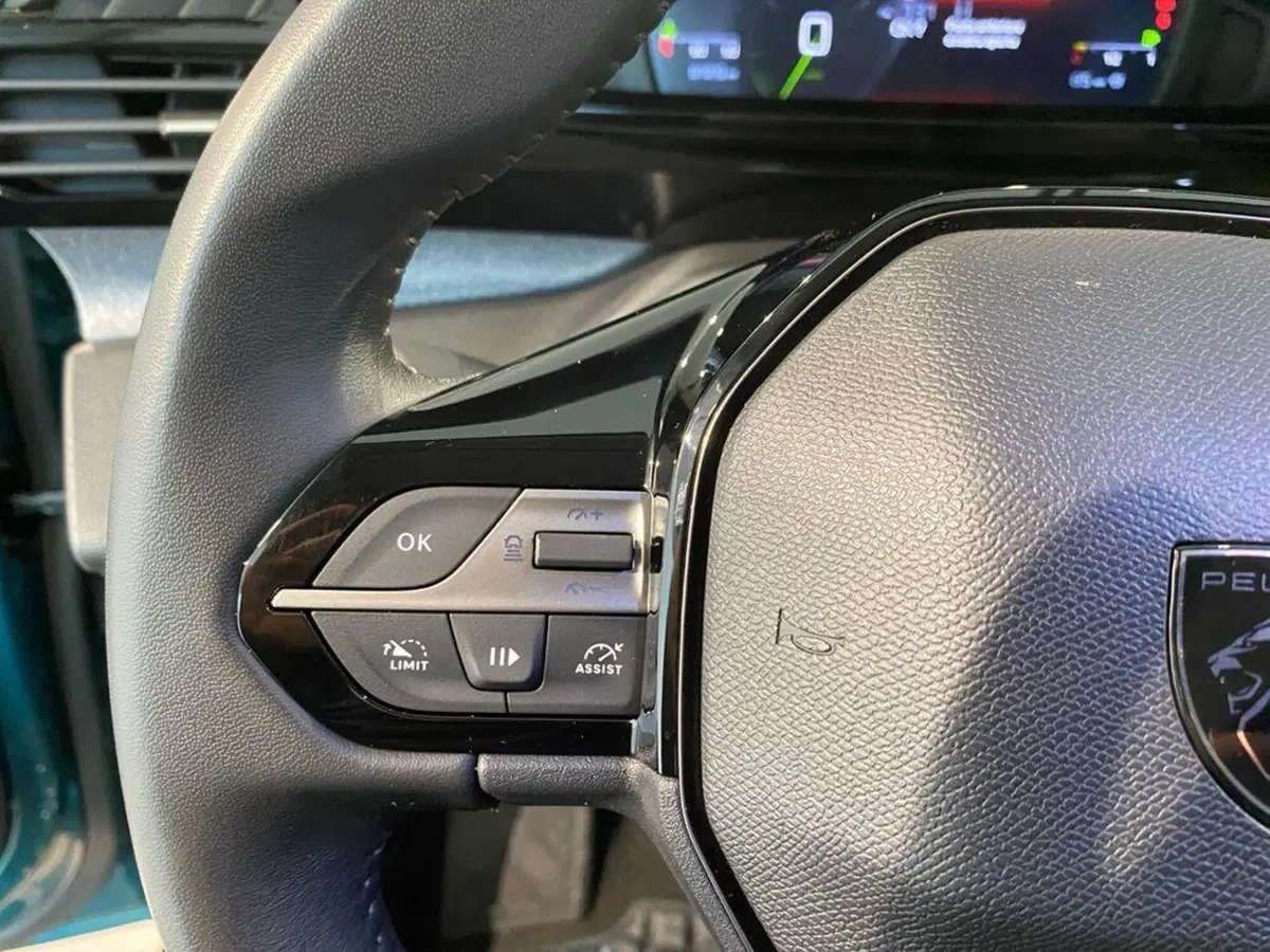 Peugeot 308 SW usata a Torino (12)
