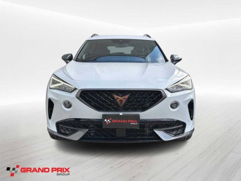 Cupra Formentor usata a Bologna (3)