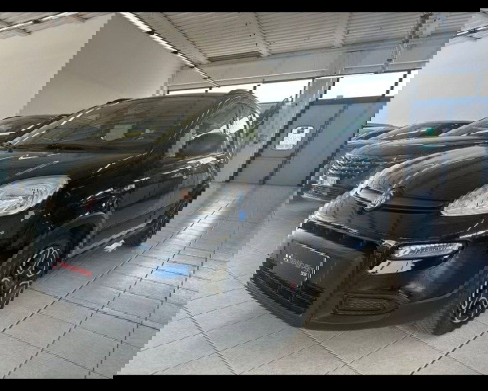 Fiat Panda usata a Bologna