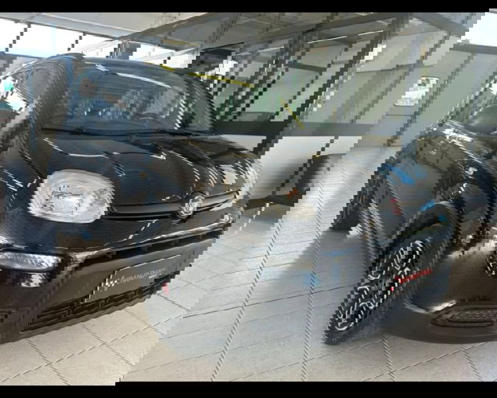 Fiat Panda usata a Bologna (7)