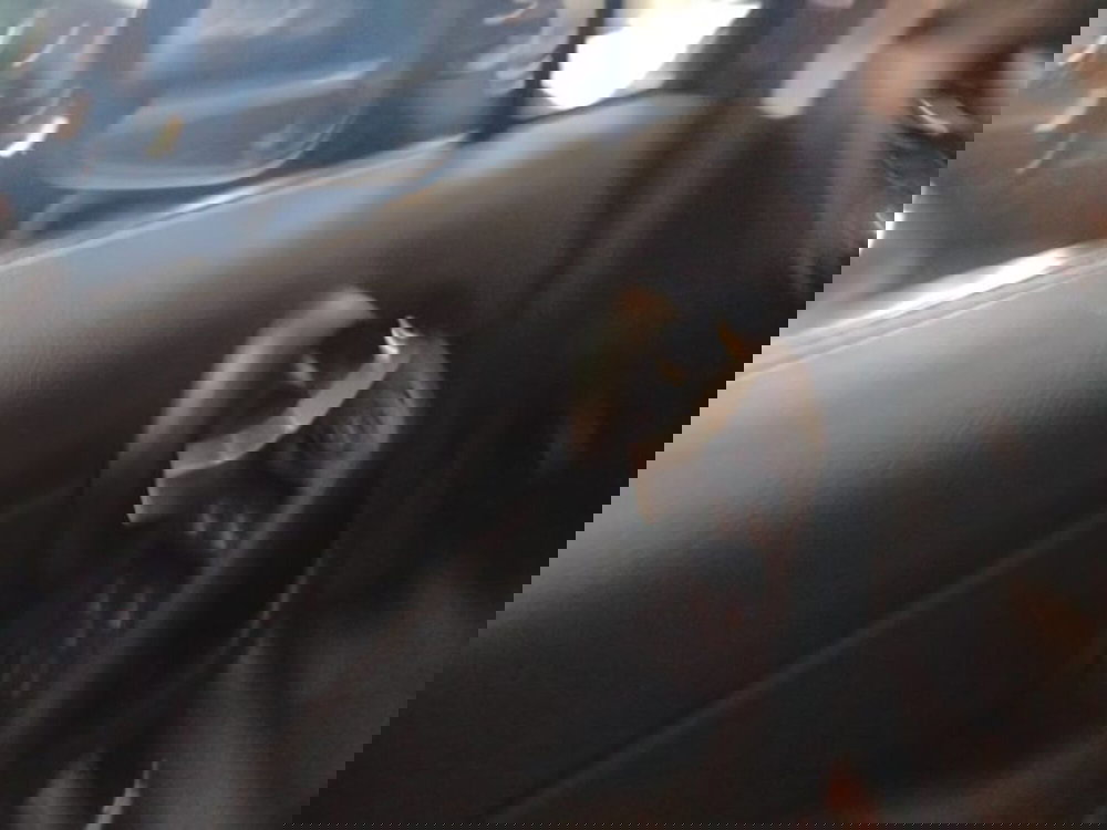 Fiat 500X usata a Forlì-Cesena (16)