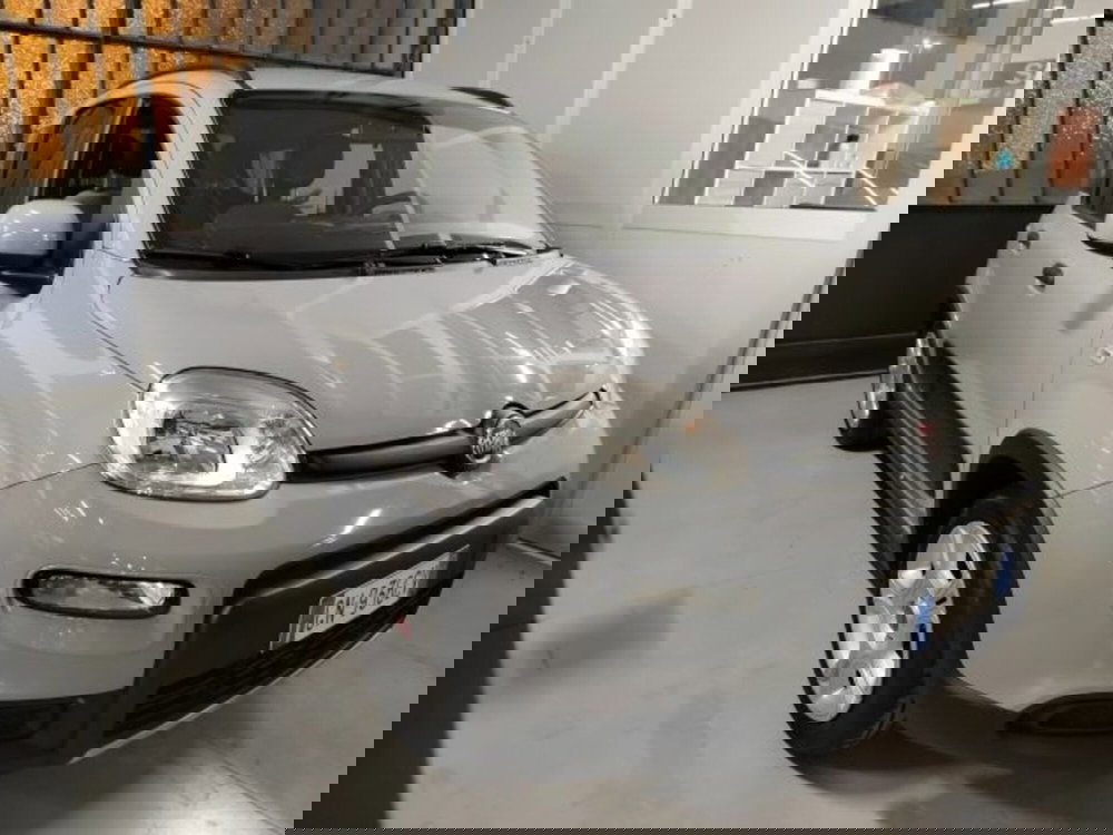 Fiat Panda usata a Forlì-Cesena