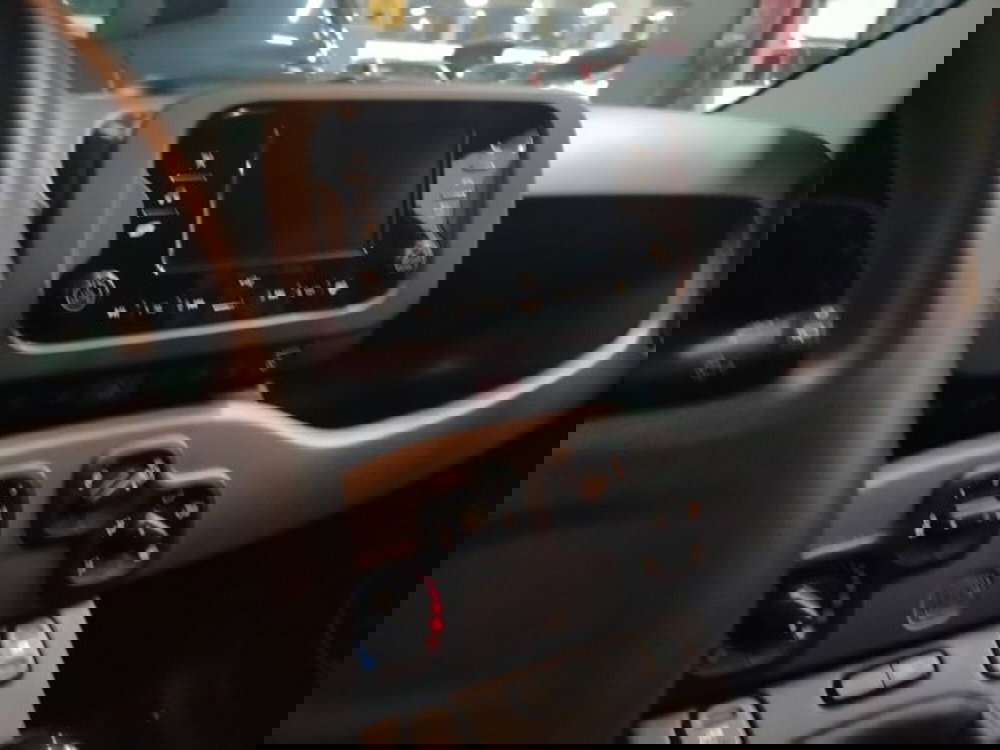 Fiat Panda usata a Forlì-Cesena (18)