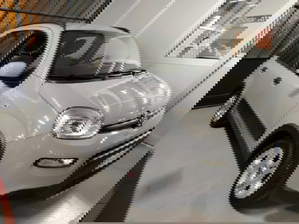 Fiat Panda usata a Forlì-Cesena (3)