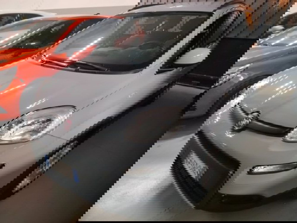 Fiat Panda usata a Forlì-Cesena (8)