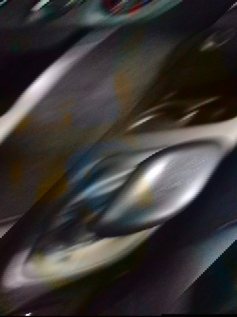 Citroen C3 usata a Forlì-Cesena (19)