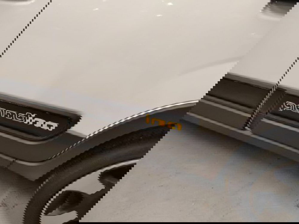 Fiat Panda usata a Forlì-Cesena (12)