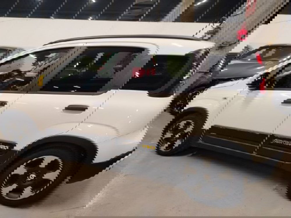 Fiat Panda usata a Forlì-Cesena (7)