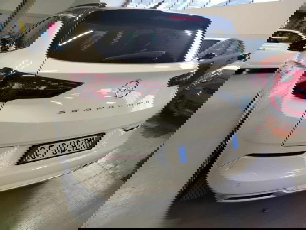 Opel Grandland usata a Forlì-Cesena (11)