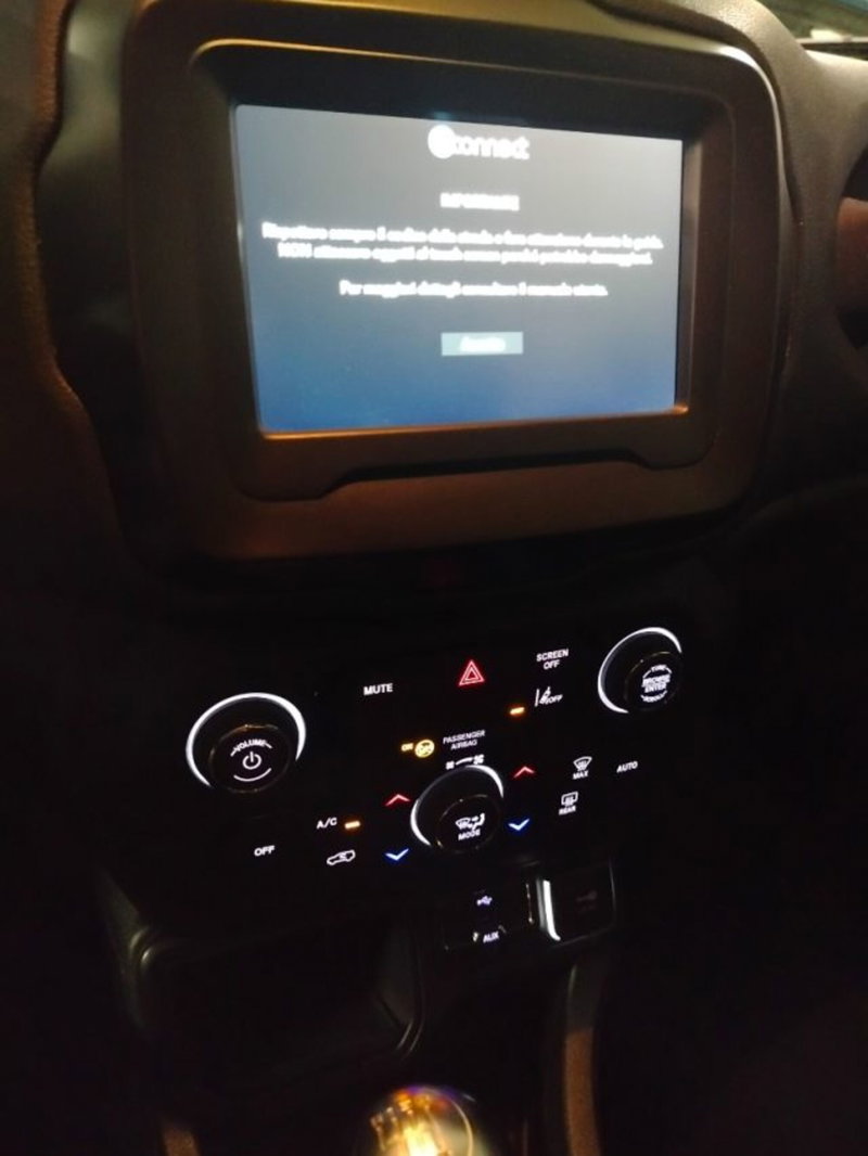 Jeep Renegade usata a Forlì-Cesena (18)