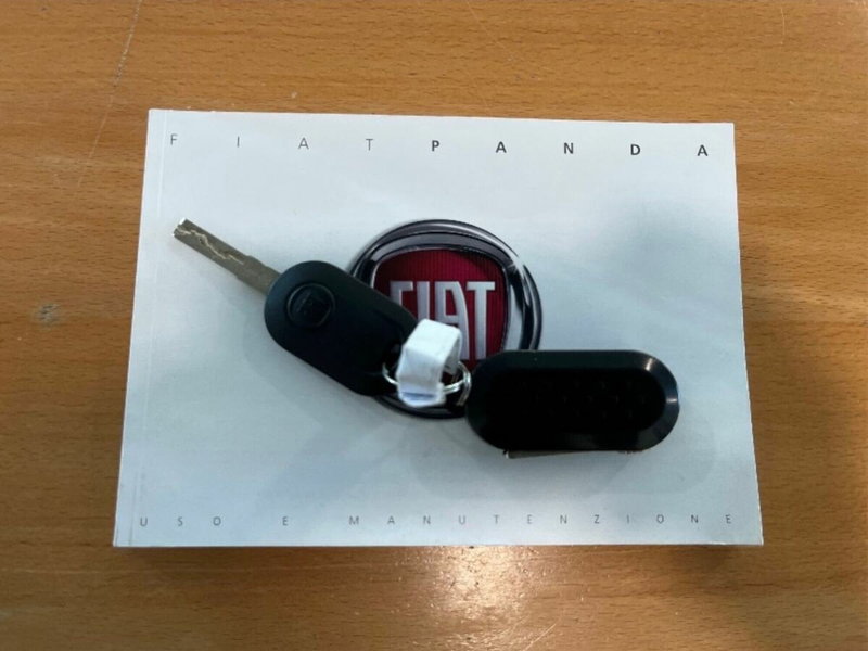 Fiat Panda Cross usata a Sondrio (16)