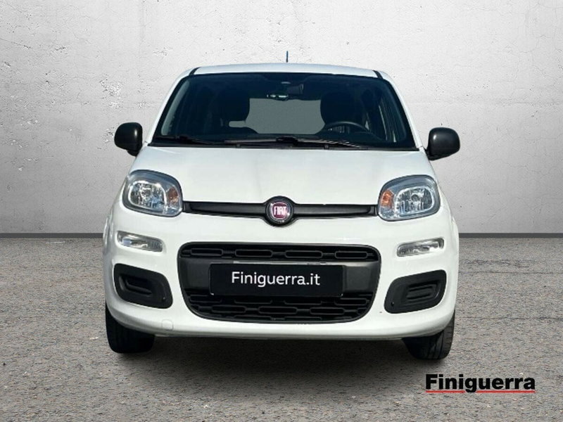 Fiat Panda Cross usata a Sondrio (2)