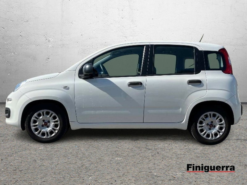 Fiat Panda Cross usata a Sondrio (6)