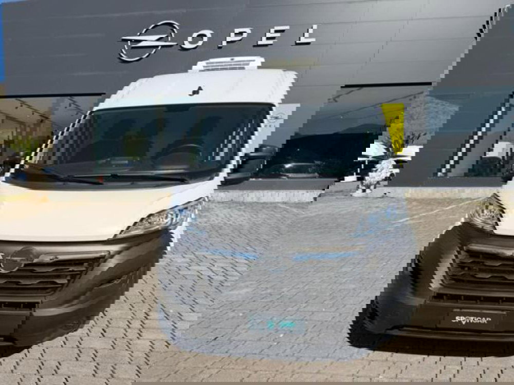 Opel Movano Furgone usata a Salerno