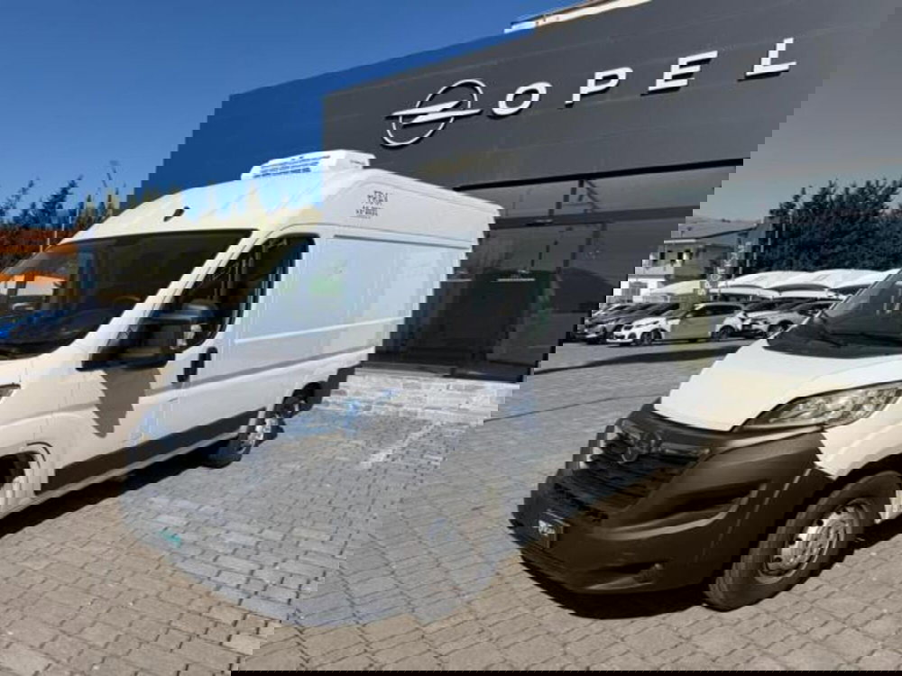 Opel Movano Furgone usata a Salerno (2)