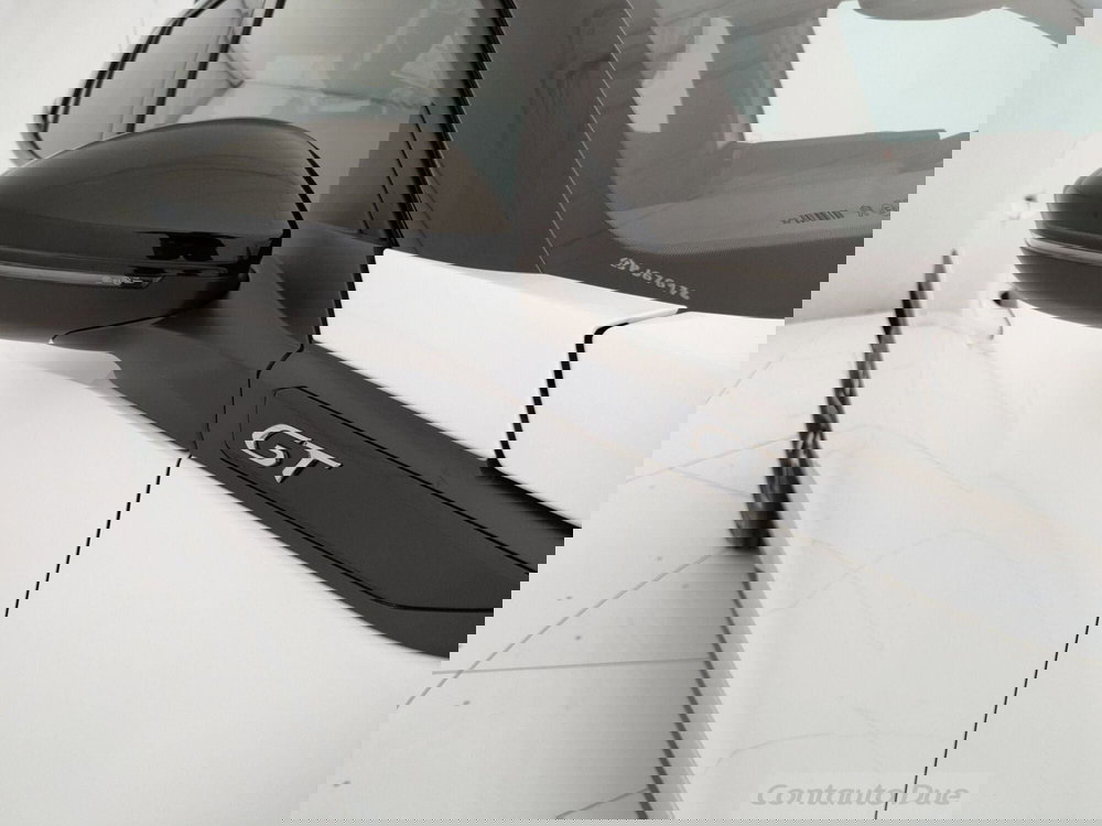 Peugeot 2008 usata a Caserta (10)