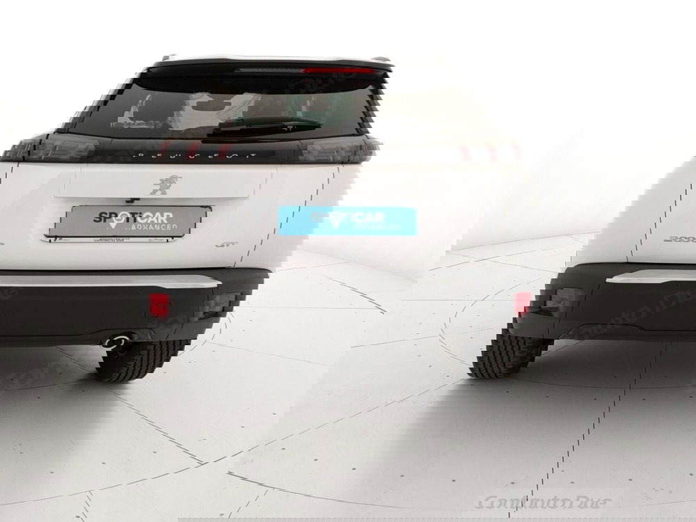 Peugeot 2008 usata a Caserta (5)